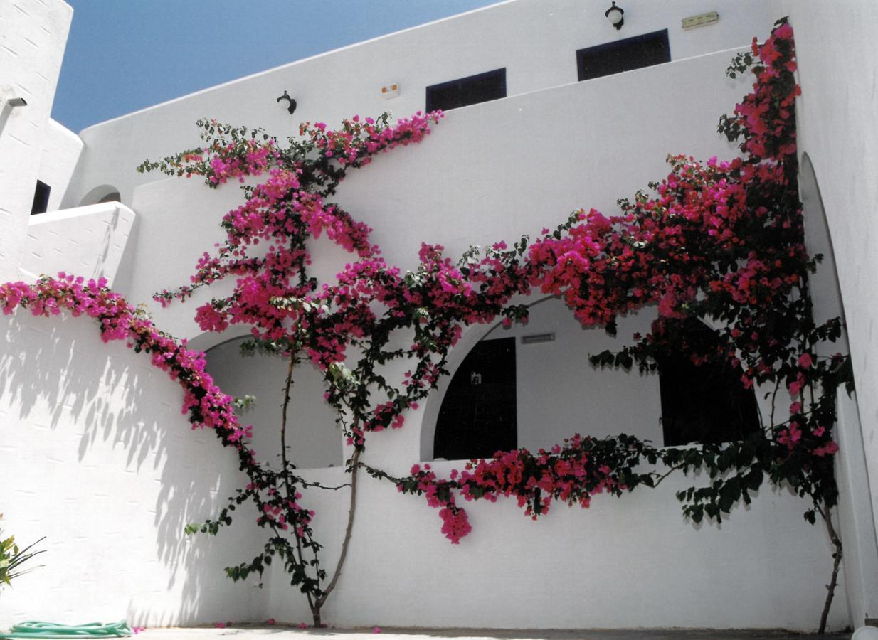 San Antonio Summer House 皮索·里瓦蒂 外观 照片